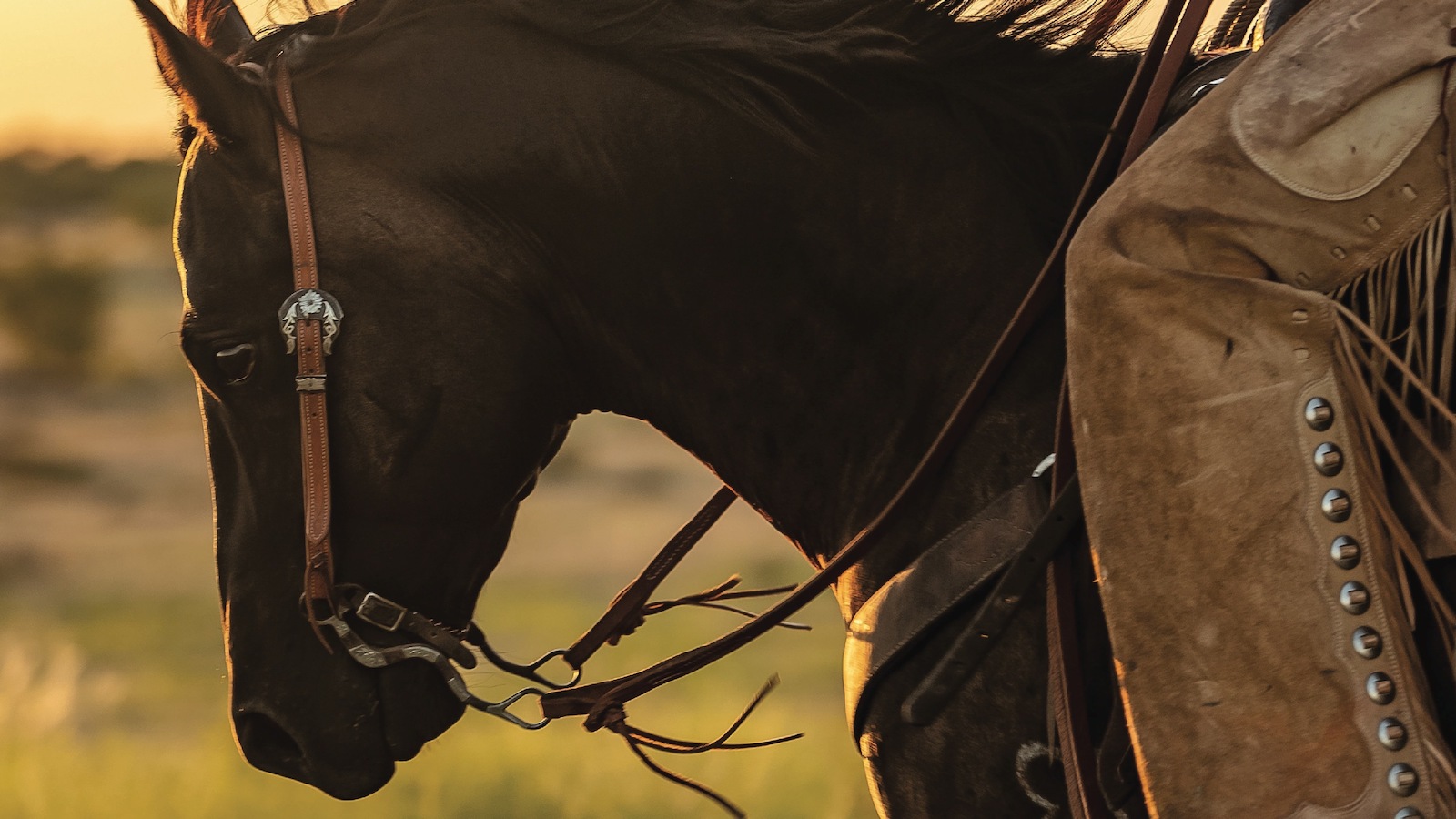 May 2022 Western Horseman Cover