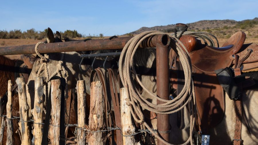 ropes and saddle