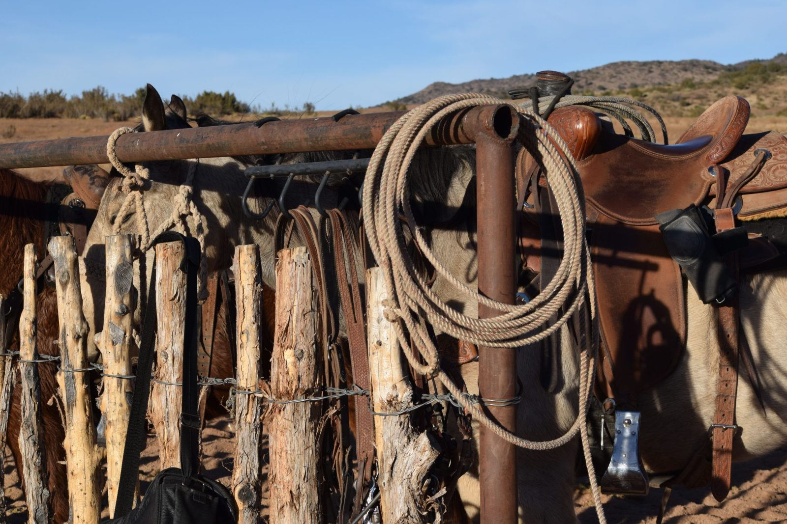 ropes and saddle