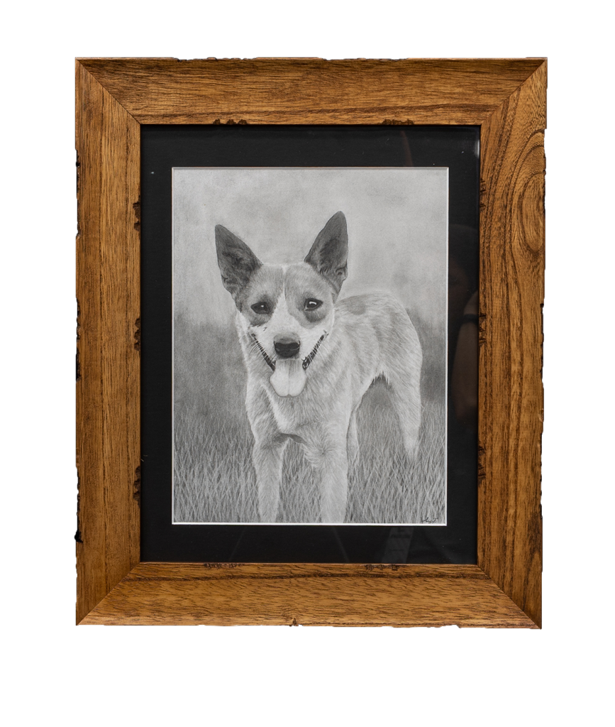 Framed pencil drawing
