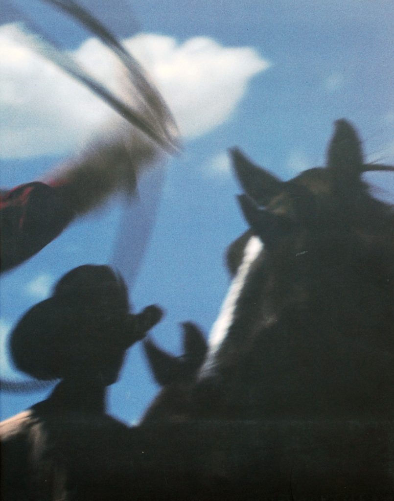 Cover art of a cowboy