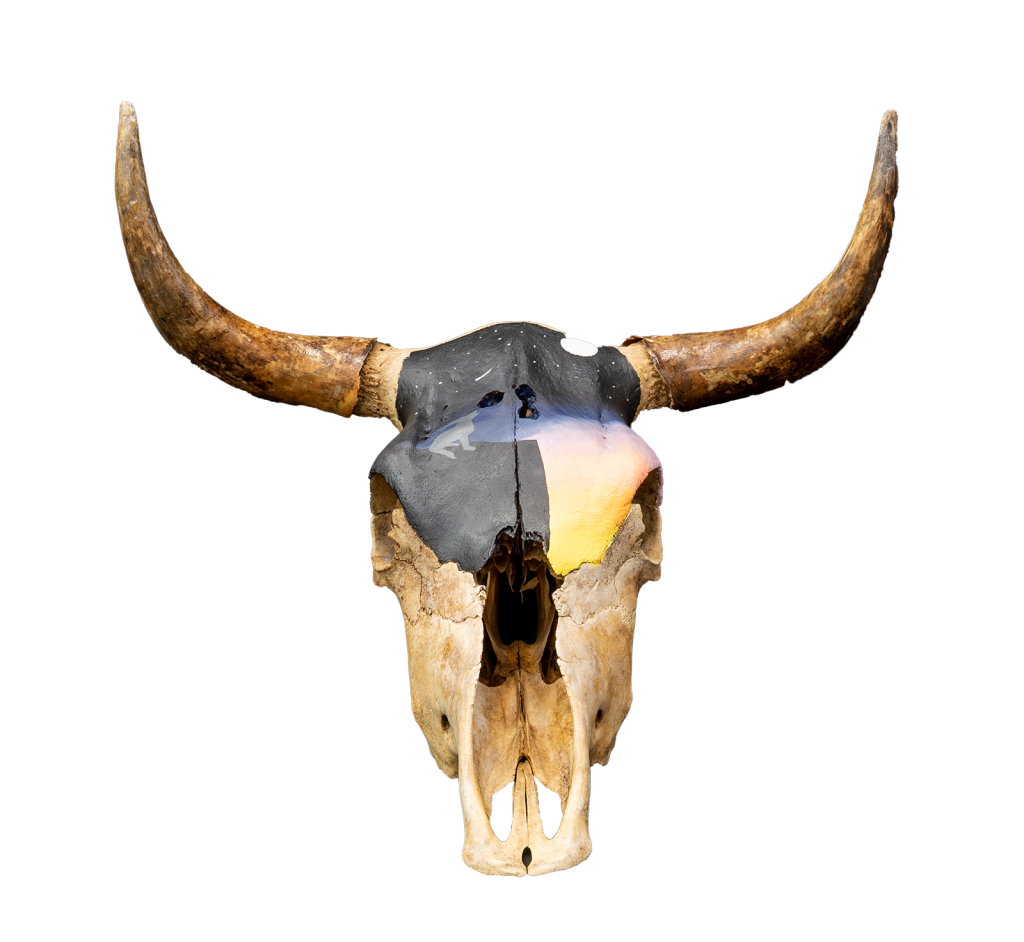 Painted cow skull for the 2022 Western Lifestyle Trade Craft Showcase.