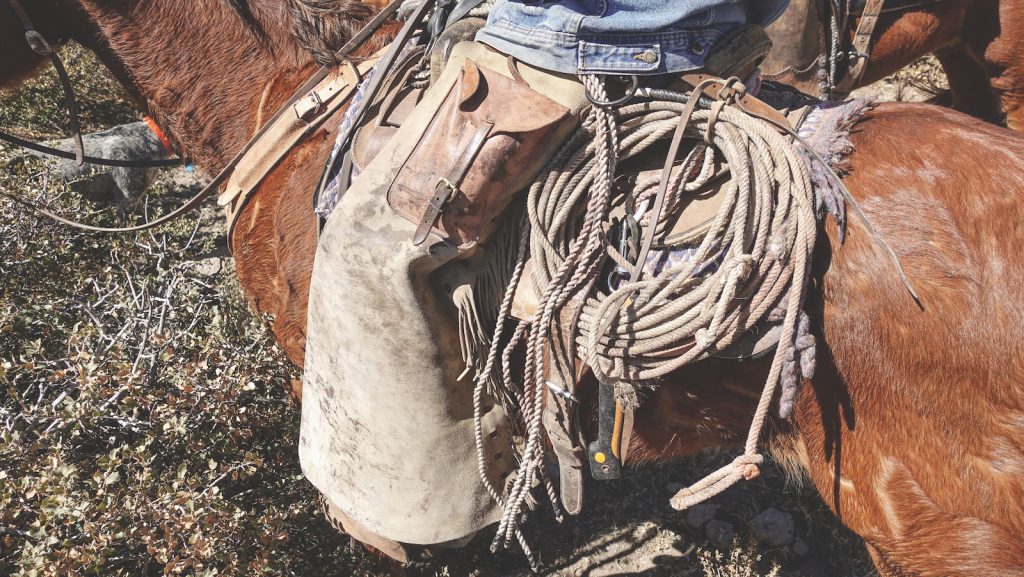 Tools for catching wild cattle.