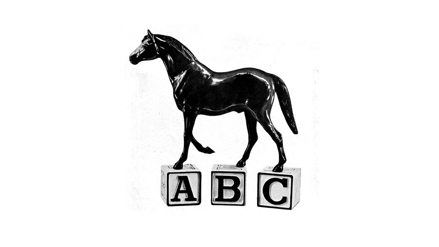 An A to Z list of horse breeds