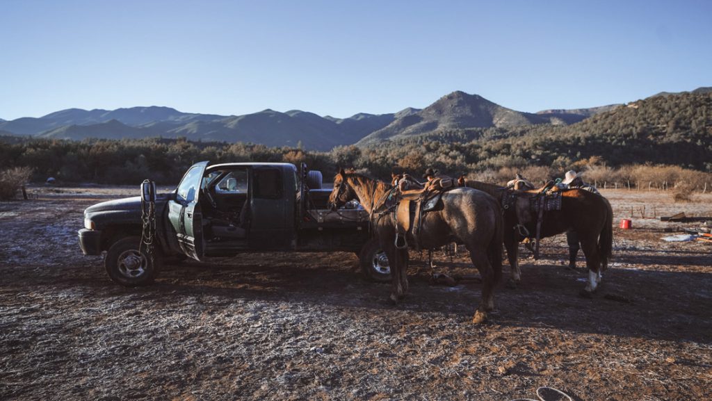 Cow catching crew saddled on a frosty morning.