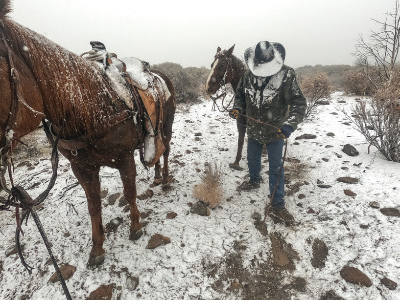 Jim Young looks for tracks in the snow.