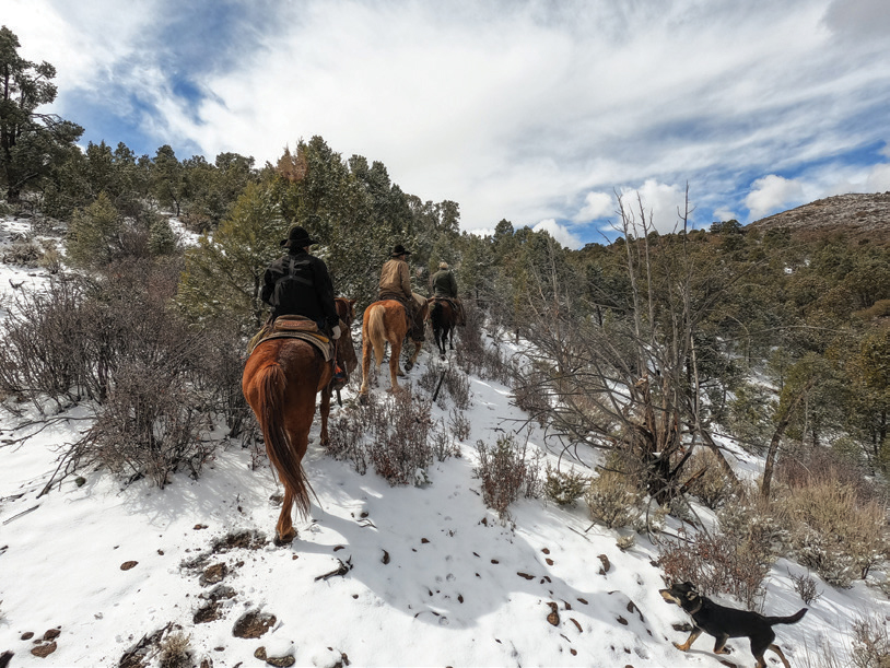 Jim Young and his crew looking for cattle.