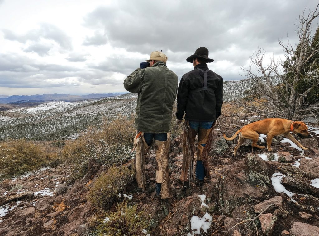 Jim Young looks for cattle.