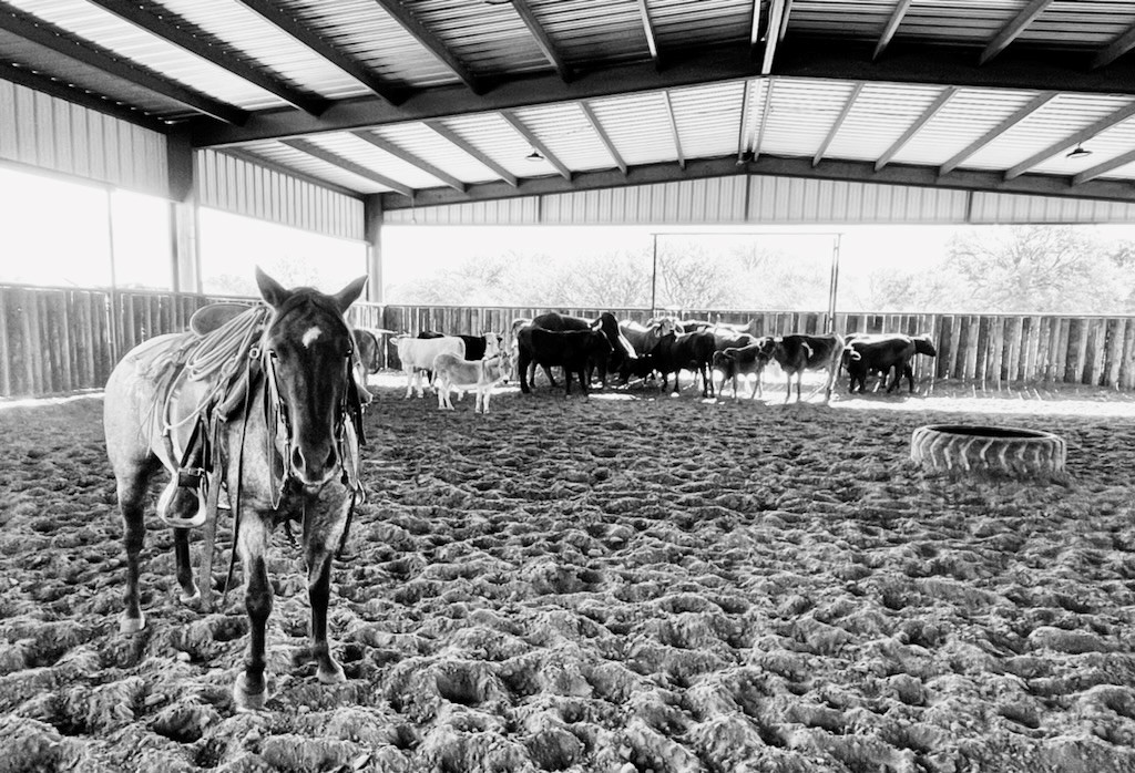 Horse property listings have great arena photos.