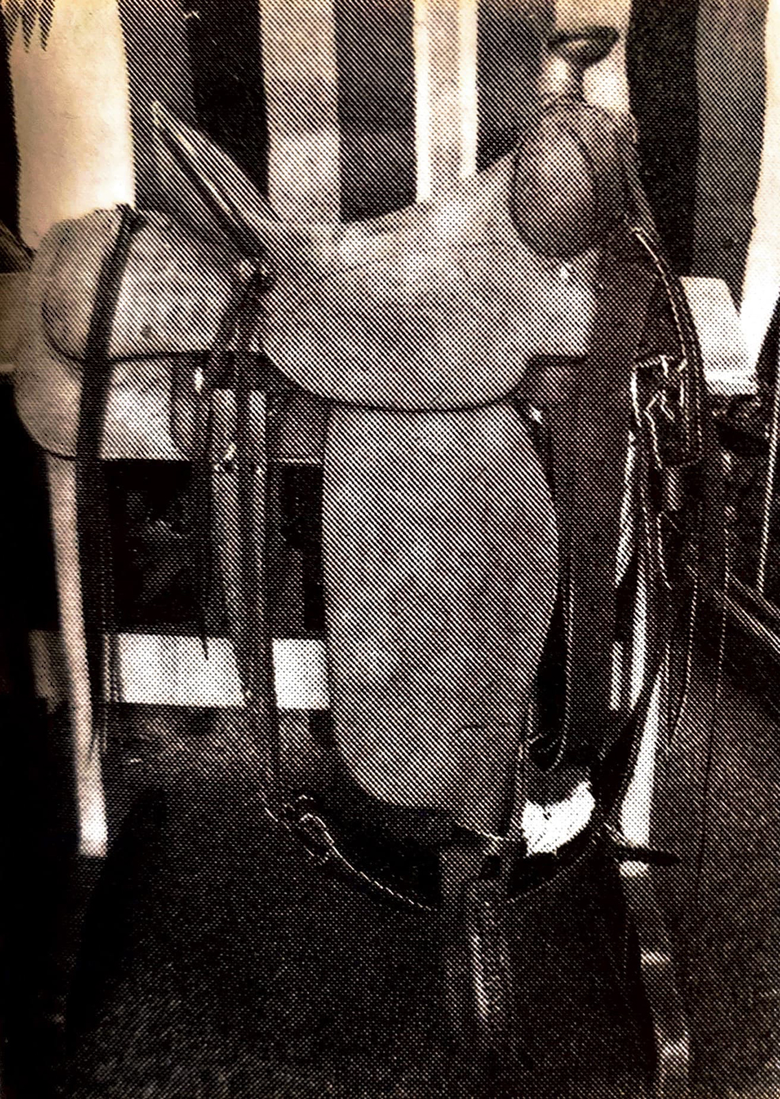 Roughout saddle by Bob Marrs