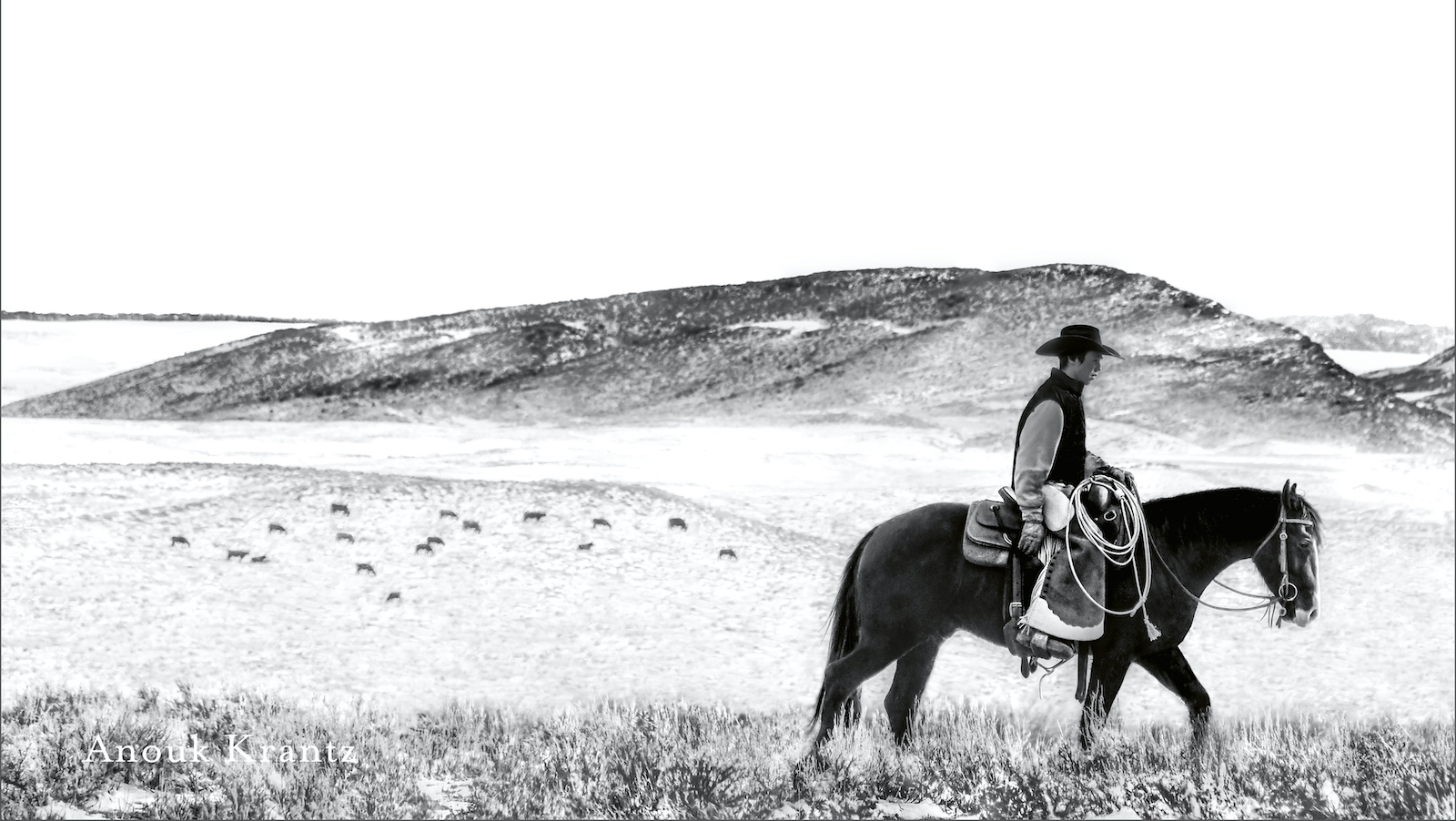 Cover image for Ranchlands: Wagonhound