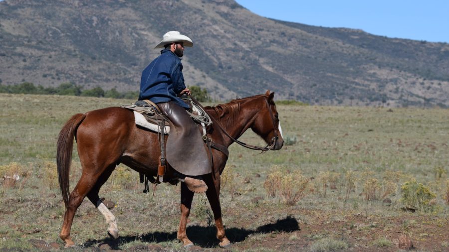 Cowboy horseback for 2023 trends