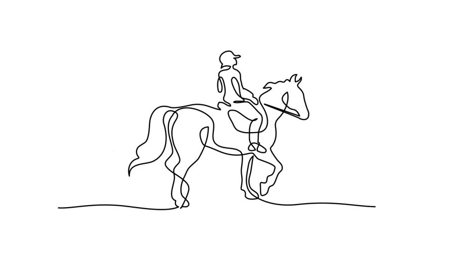Horse and rider illustration