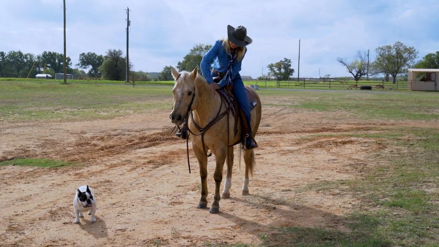 Sherry Cervi on Stingray in 2023