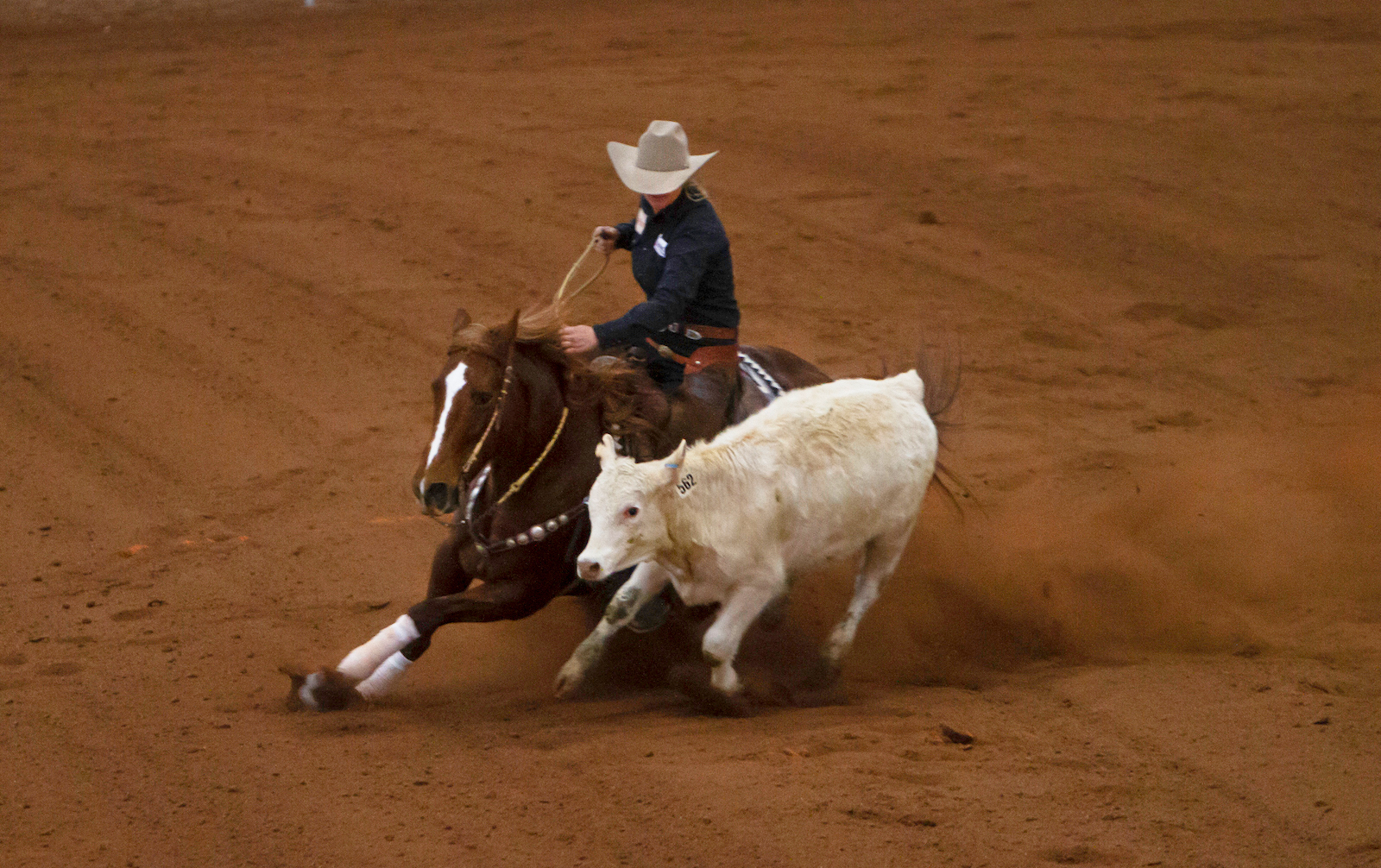 Kelsey Love Thomas circling a cow