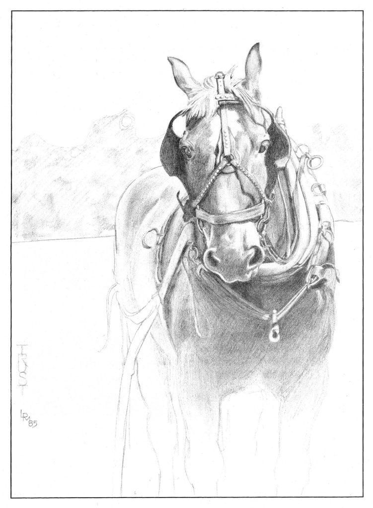 Writer and publisher Lynn Miller new book, The Harness Book, sings the praises of working the land with horses and the equipment used.