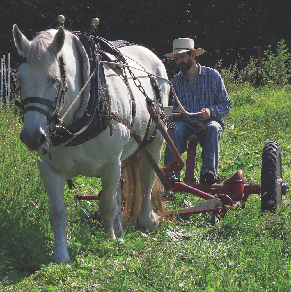Writer and publisher Lynn Miller new book, The Harness Book, sings the praises of working the land with horses and the equipment used.
