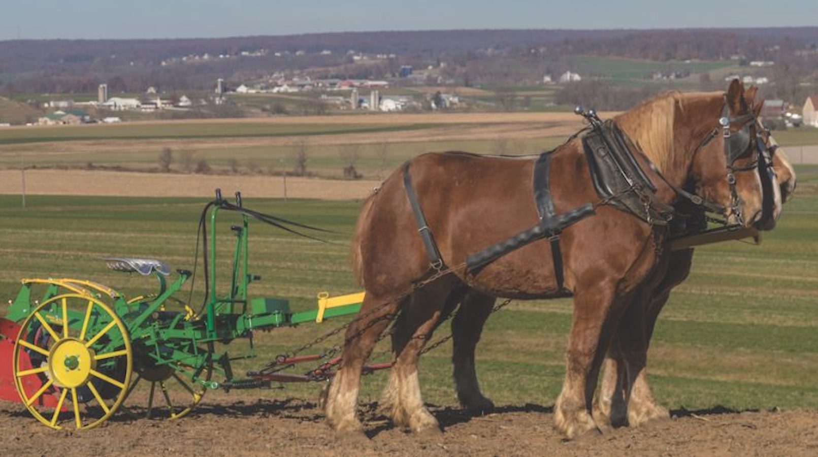 Writer and publisher Lynn Miller new book, The Harness Book, sings the praises of working the land with horses and the equipment used.