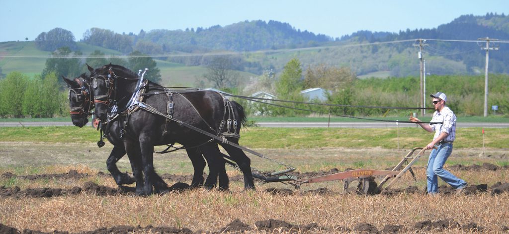 Writer and publisher Lynn Miller new book, The Harness Book, sings the praises of working the land with horses and the equipment used.