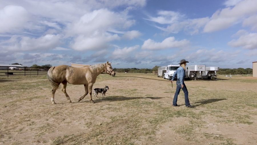 Sherry Cervi walking Stingray