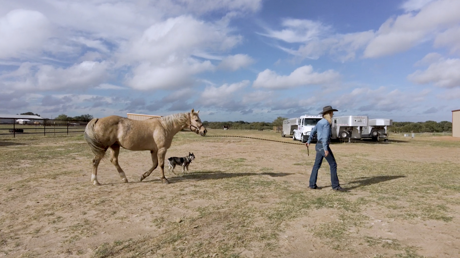 Sherry Cervi walking Stingray