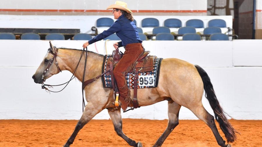 Amy’s mare, was about to retire and only the mare’s own homebred offspring, Whos Chocolate Whiz, or “Gus,” could fill her shoes.