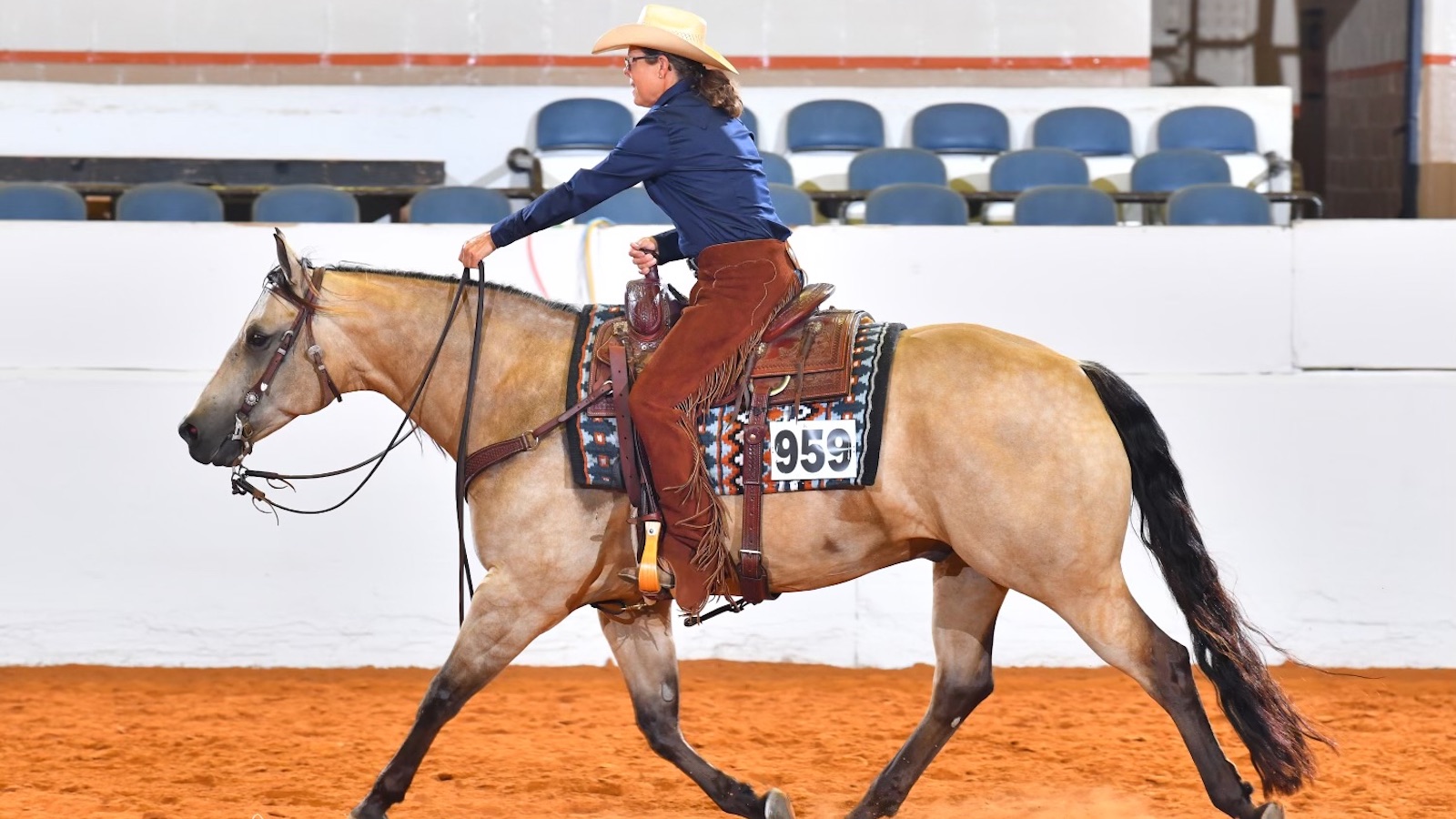 Amy’s mare, was about to retire and only the mare’s own homebred offspring, Whos Chocolate Whiz, or “Gus,” could fill her shoes.