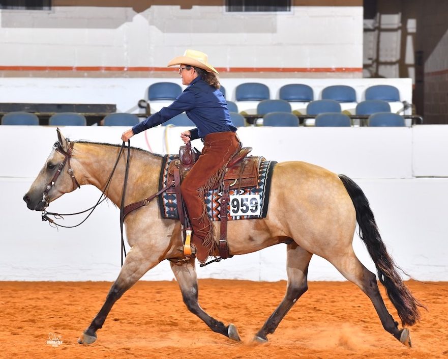 Amy’s mare, was about to retire and only the mare’s own homebred offspring, Whos Chocolate Whiz, or “Gus,” could fill her shoes.