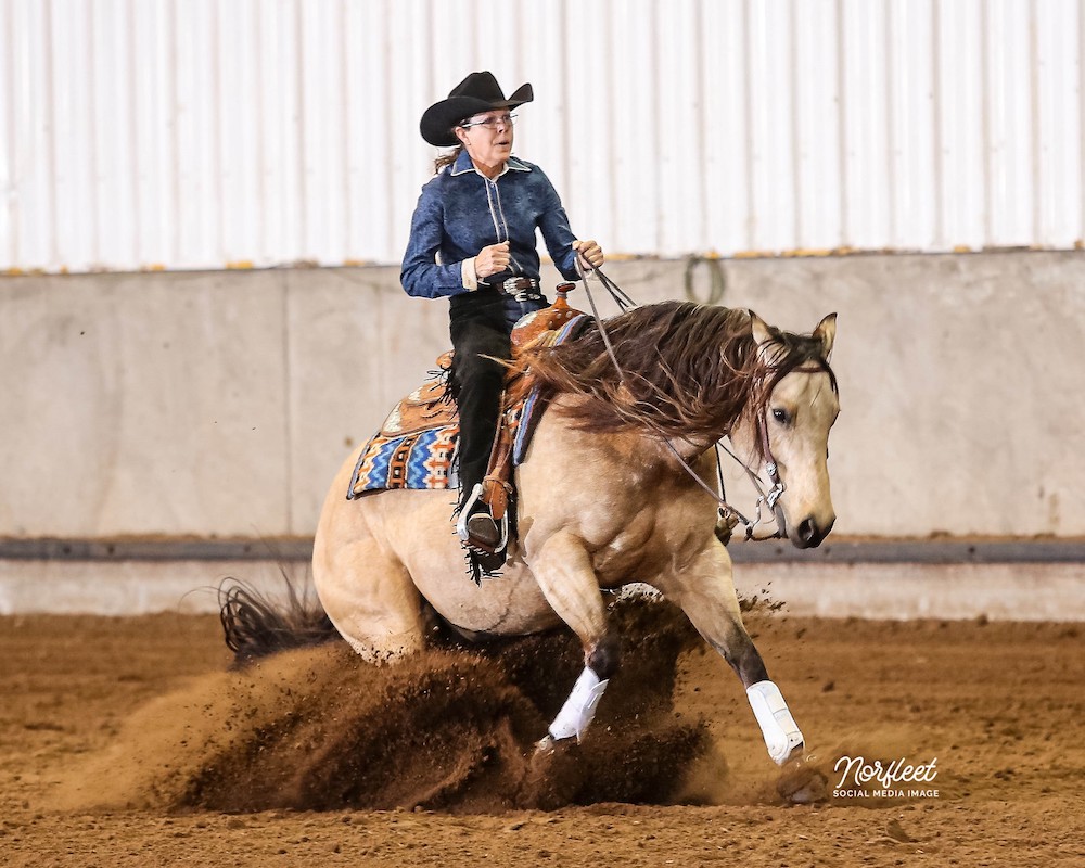 Amy’s mare, was about to retire and only the mare’s own homebred offspring, Whos Chocolate Whiz, or “Gus,” could fill her shoes.
