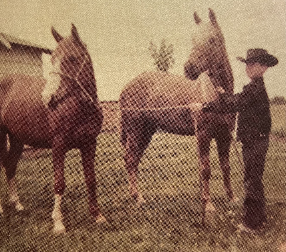 Larry Mahan's style and free-thinking won him rodeo stardom, attracted new fans to the sport, and led him to a better understanding of horses. 