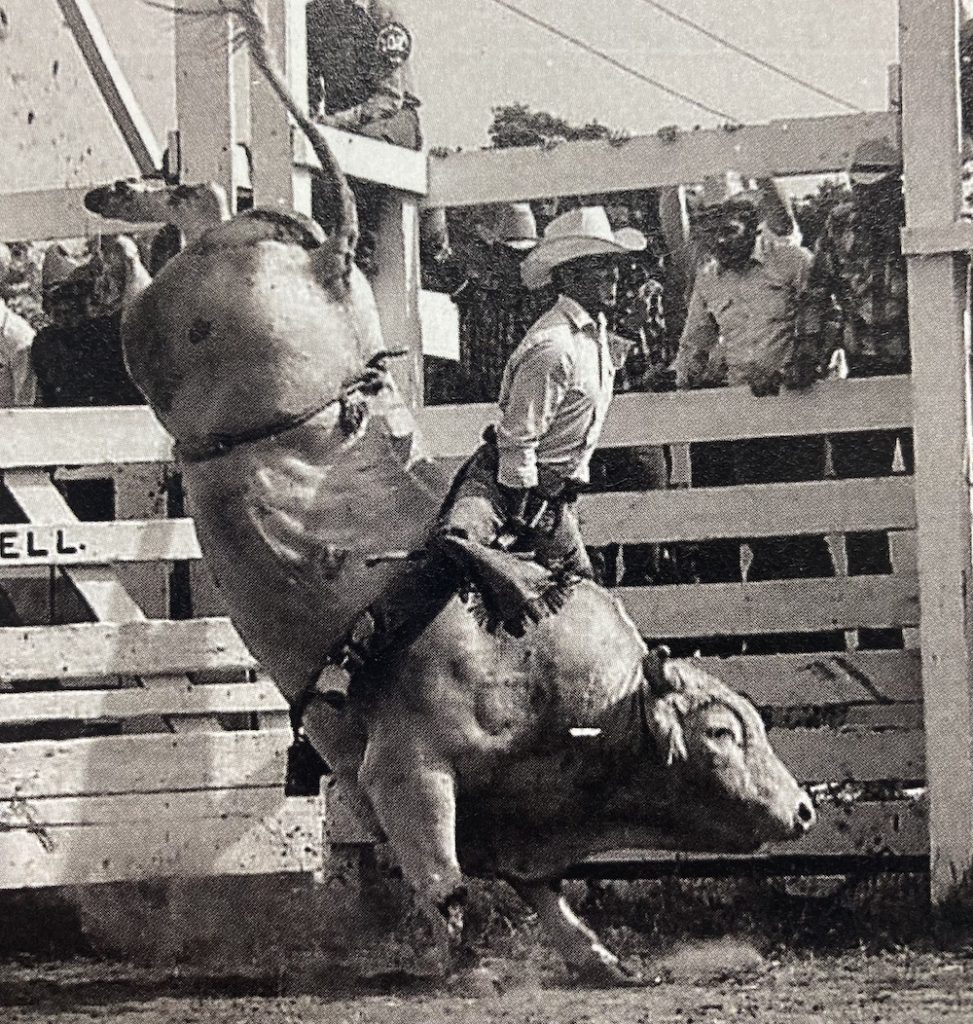Larry Mahan's style and free-thinking won him rodeo stardom, attracted new fans to the sport, and led him to a better understanding of horses. 