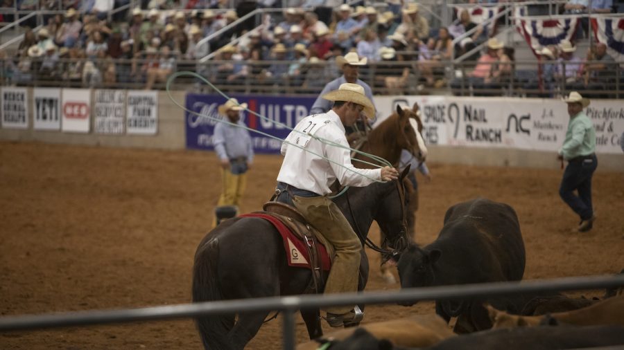 Waylon Davis