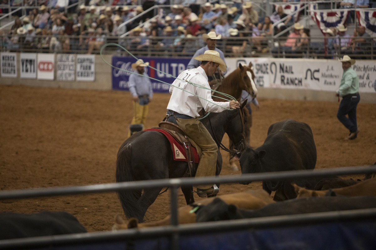 Waylon Davis