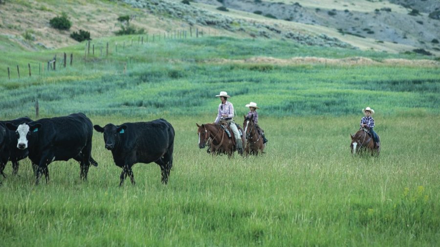 Jaimie Stoltzfus is among a growing number of ranch wives finding their niche through marketing ranch-raised beef direct to consumers.