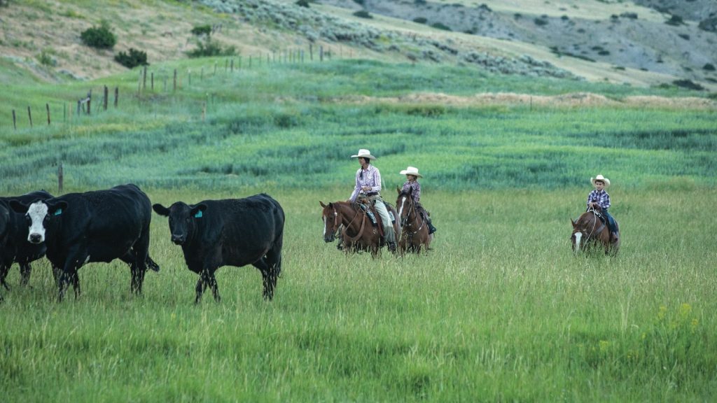 Jaimie Stoltzfus is among a growing number of ranch wives finding their niche through marketing ranch-raised beef direct to consumers.