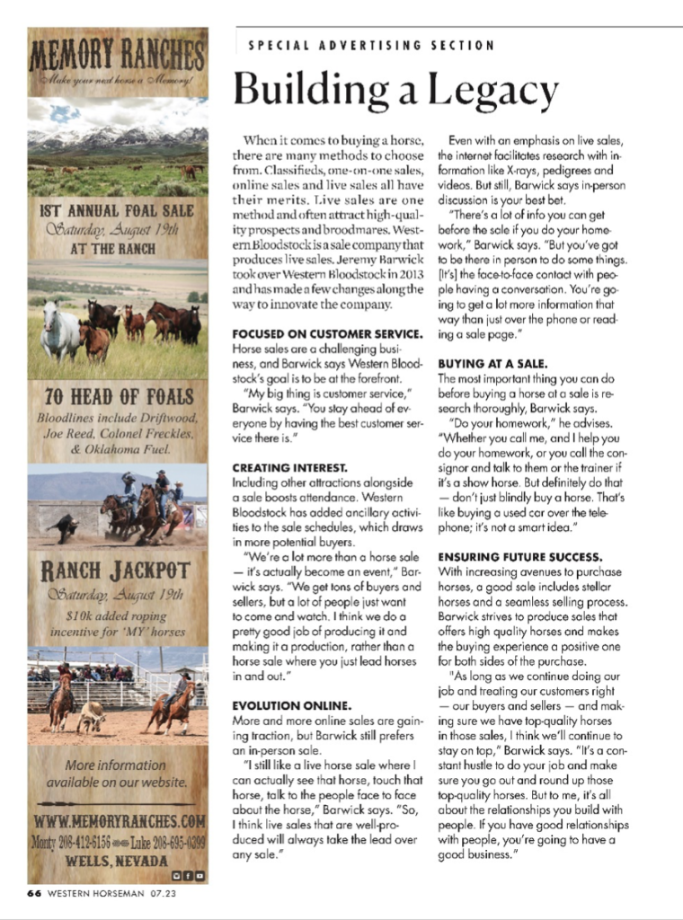 When it comes to buying a horse, there are many methods to choose from: classifieds, one-on-one sales, online sales and live sales 
