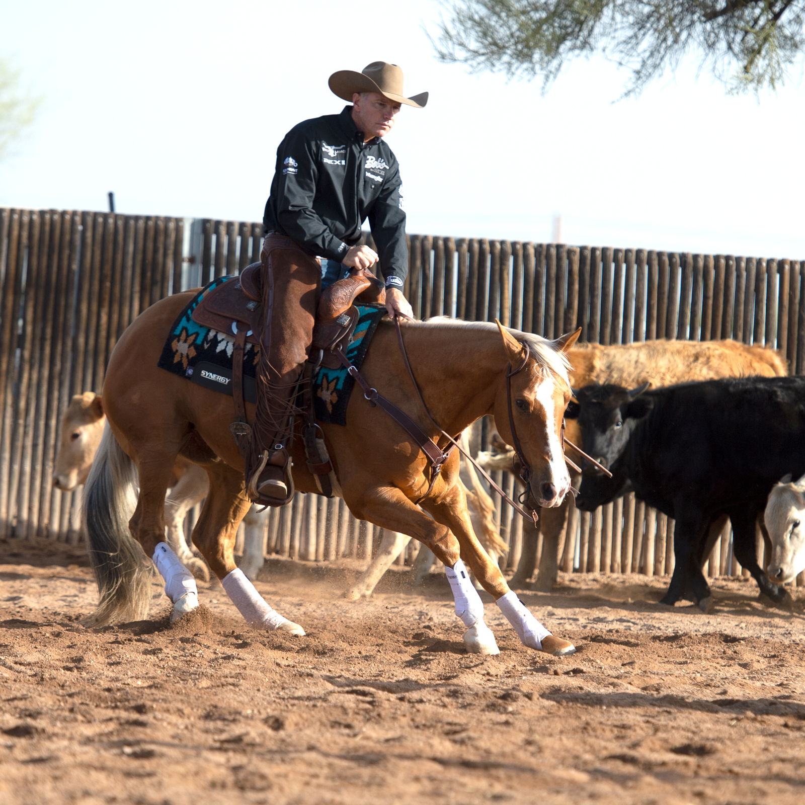 Working Cow Horse in Weaver Leather