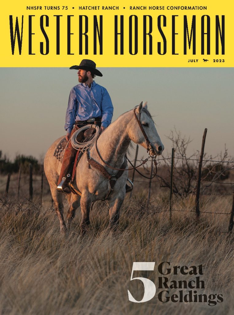 Some horses are extra special. We’ve rounded up five geldings that embody the dedication and dependability of the ranch horse.