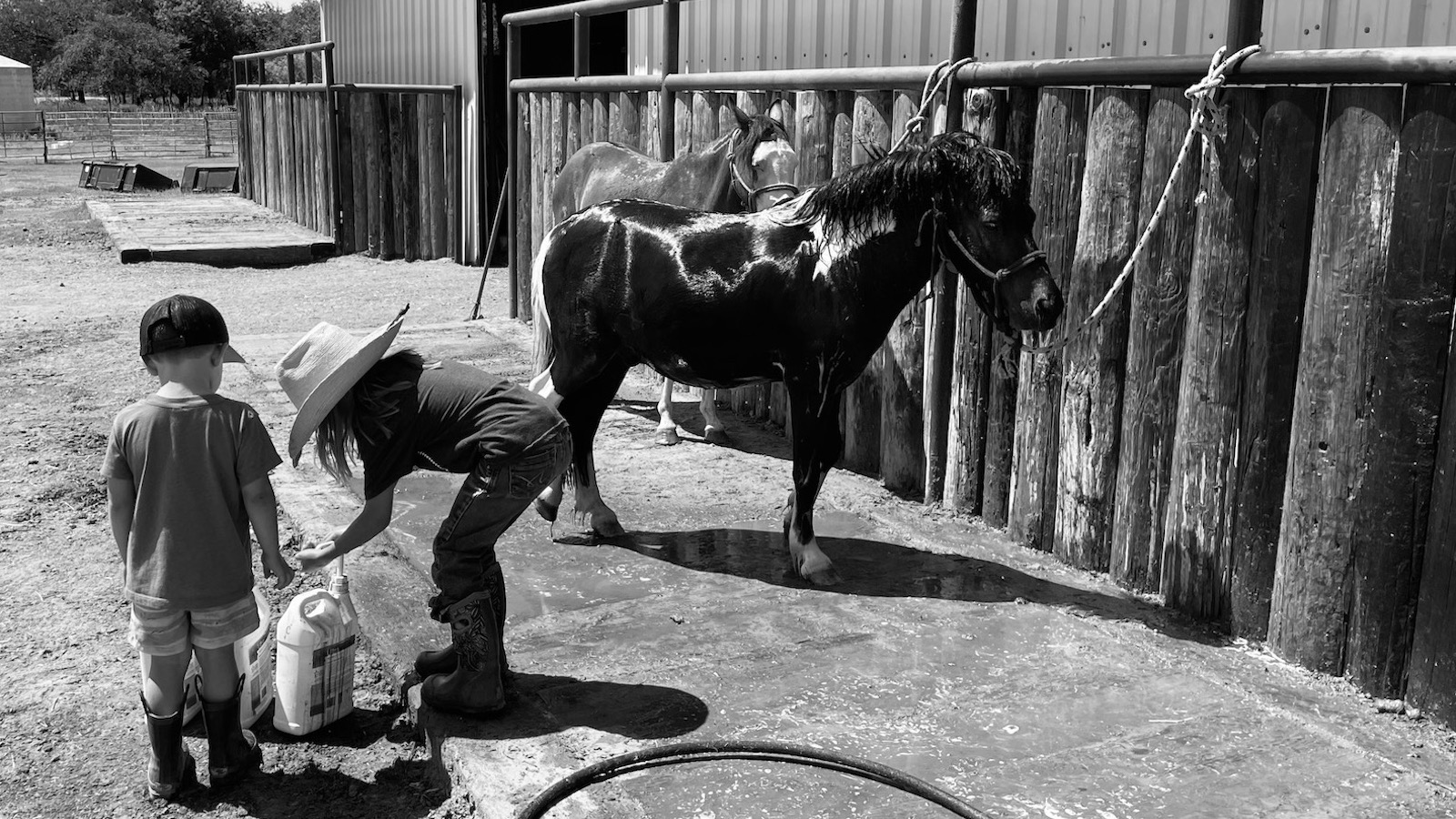 The heat of the Texas summers brings a new challenge to those with horses. Learning how to adjust is vital to surviving triple digit summers.