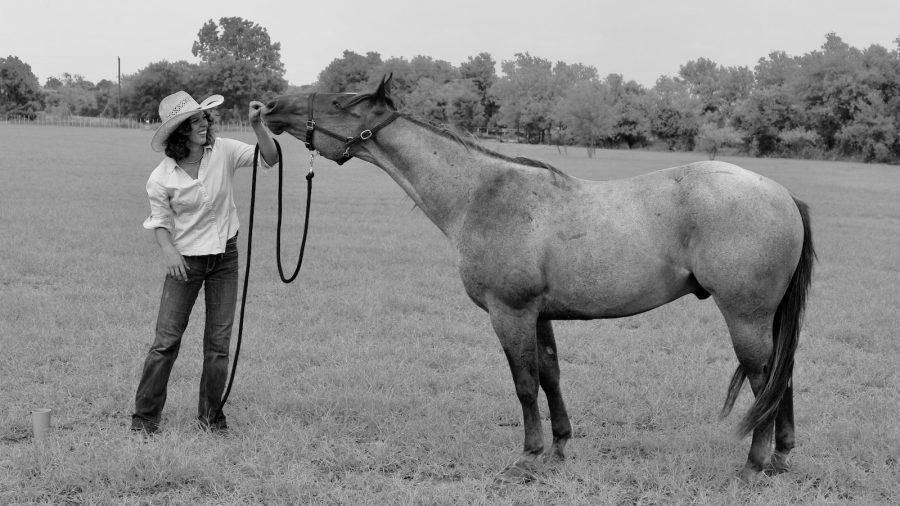 From fighting flies to waiting for the perfect lighting, taking photos of your horse is rarely as simple as you think it will be.