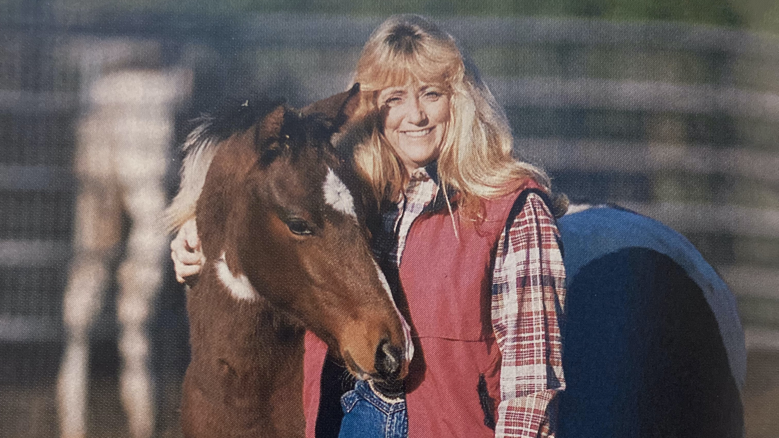 JoAnne Carollo is determined and has a love for working cow horses, which has helped her make learning experiences of tough situations.