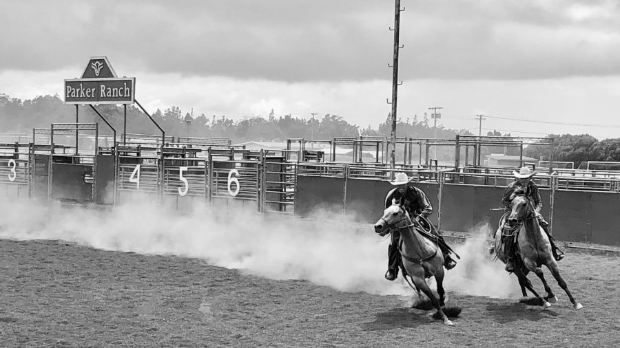 Every season, we have a good handful of colts that are just, well, really tough. Starting tough colts is never simple and easy.
