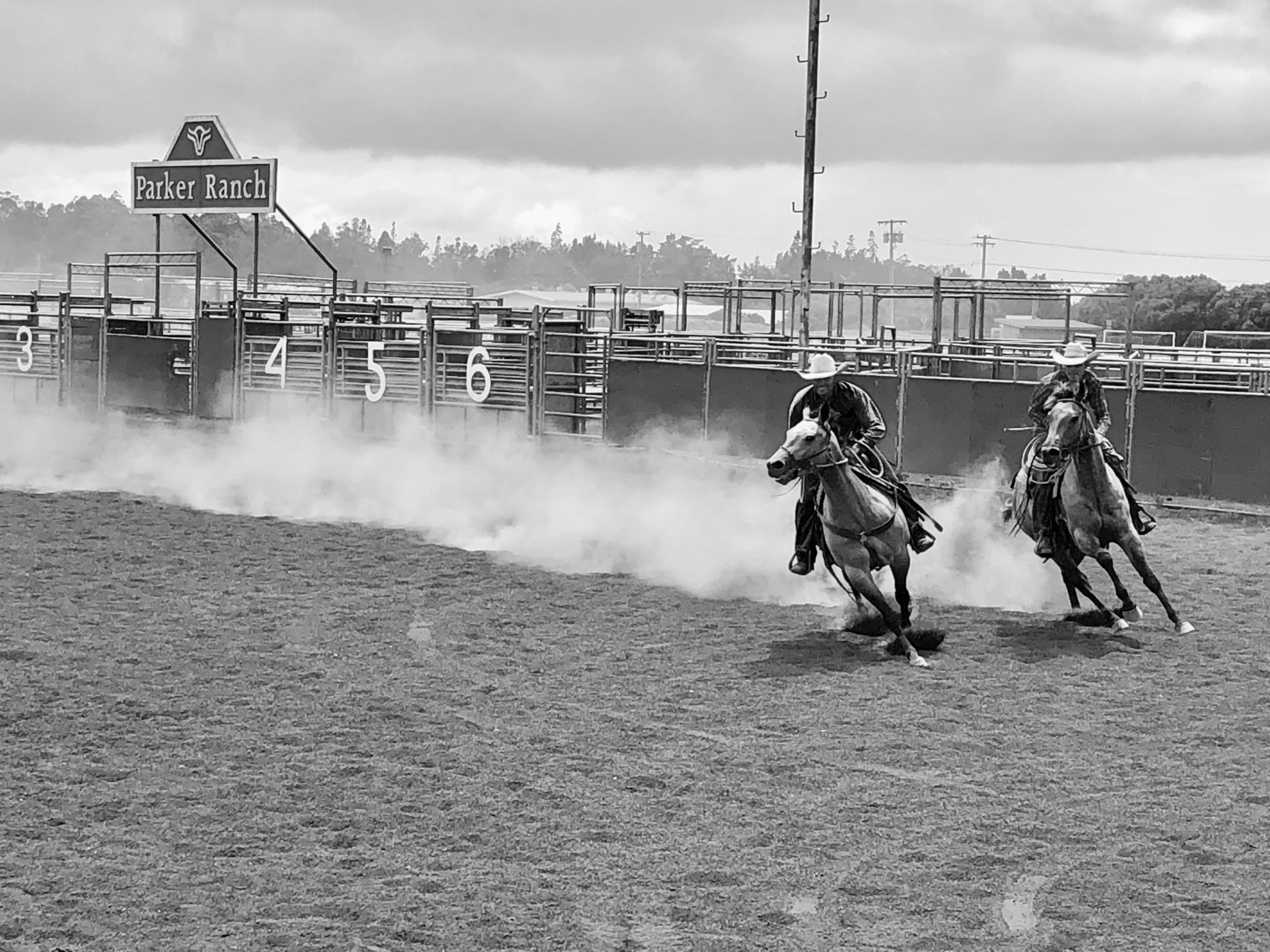 Every season, we have a good handful of colts that are just, well, really tough. Starting tough colts is never simple and easy.