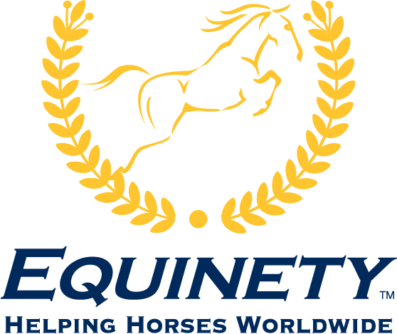 Equinety Logo