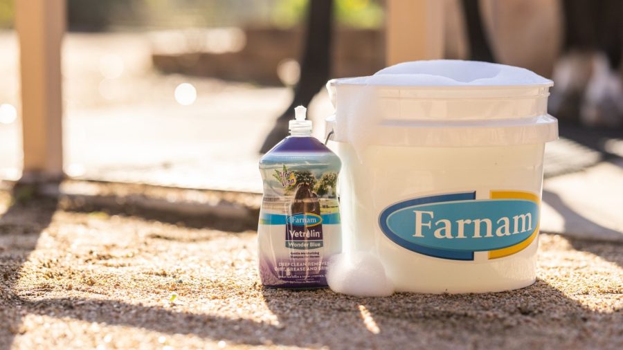 Farnam