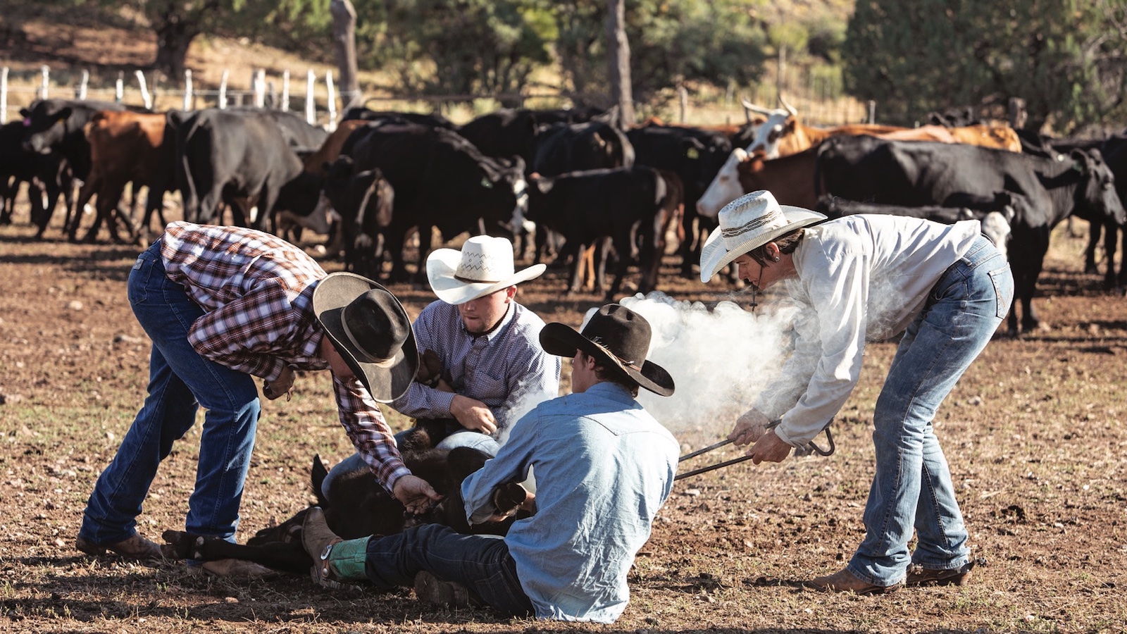 Northern Arizona’s iconic O RO Ranch has a reputation for producing generations of tough horses, cattle and cowboys.