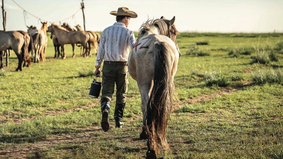 Western Horseman has curated a selection of cool care items for you and your horse — all made right here in the United States.