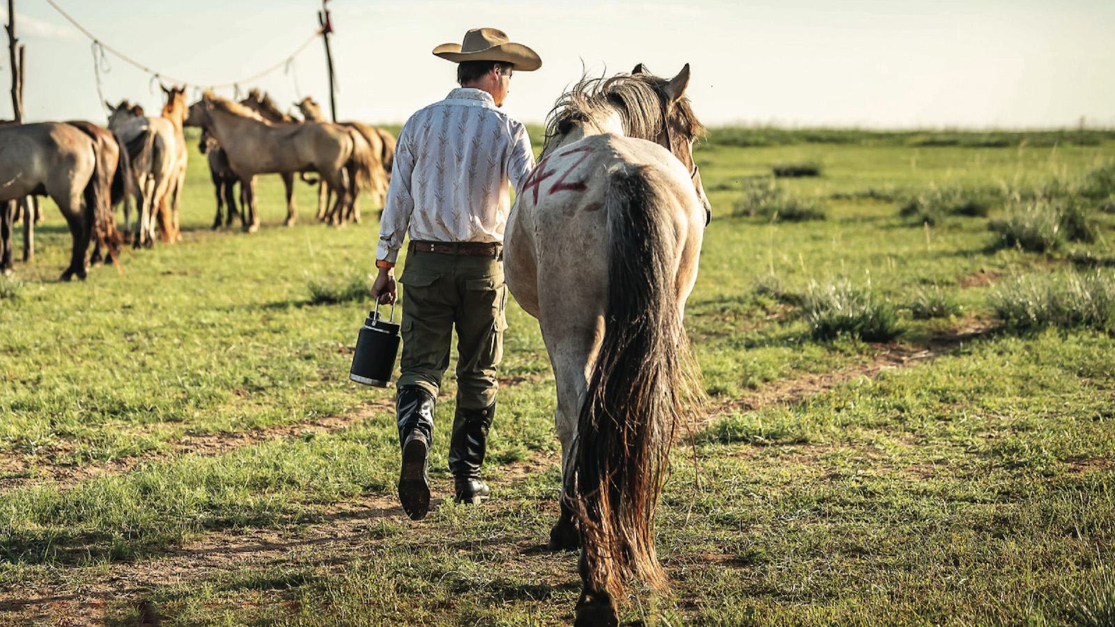 Western Horseman has curated a selection of cool care items for you and your horse — all made right here in the United States.