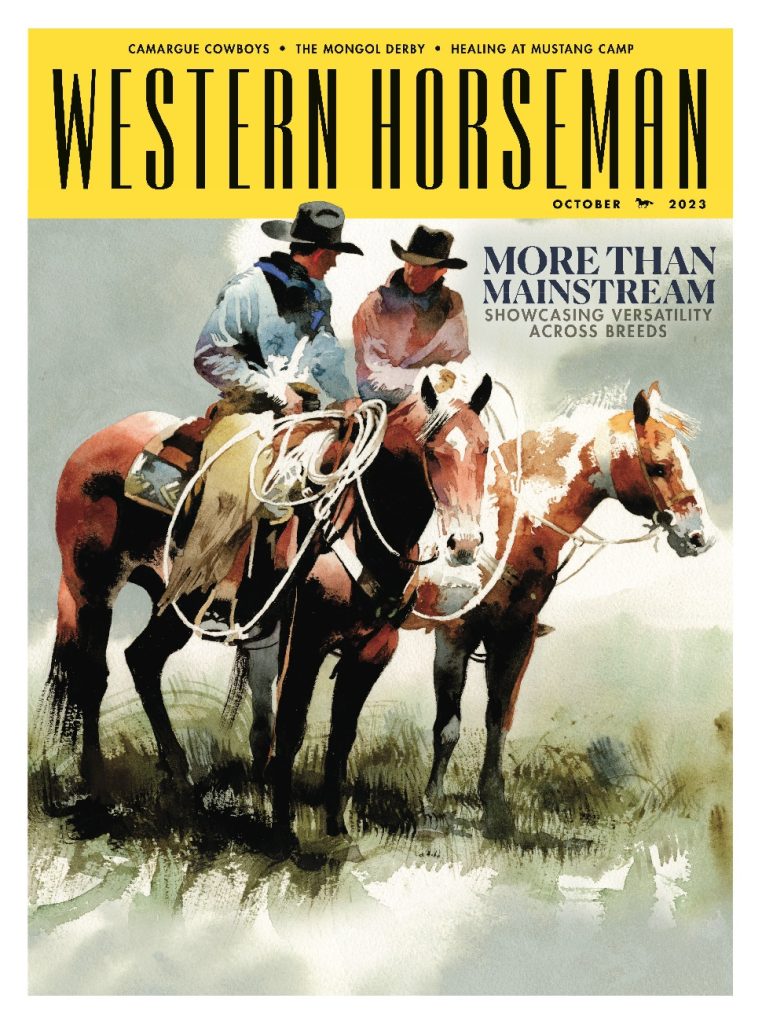 The All Breeds issue is an issue celebrating the diversity in the equine community and the strengths those different breeds represent.