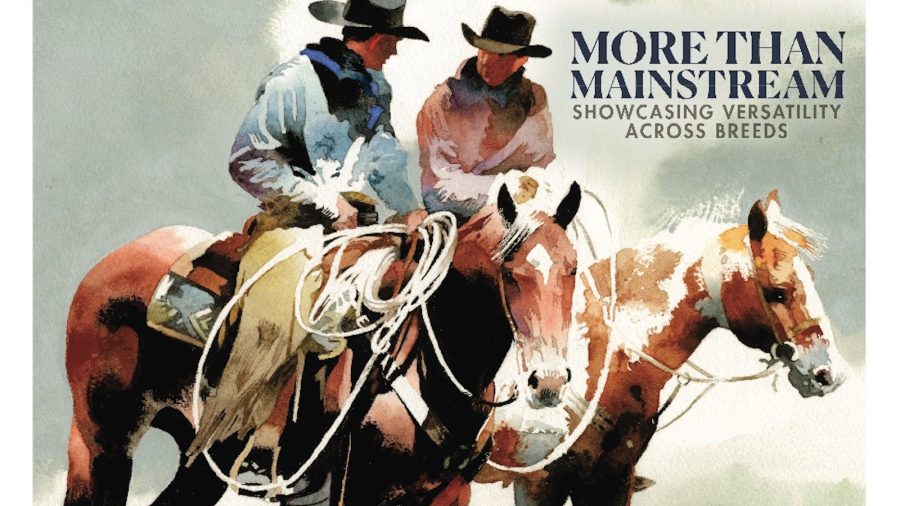 The All Breeds issue is an issue celebrating the diversity in the equine community and the strengths those different breeds represent.